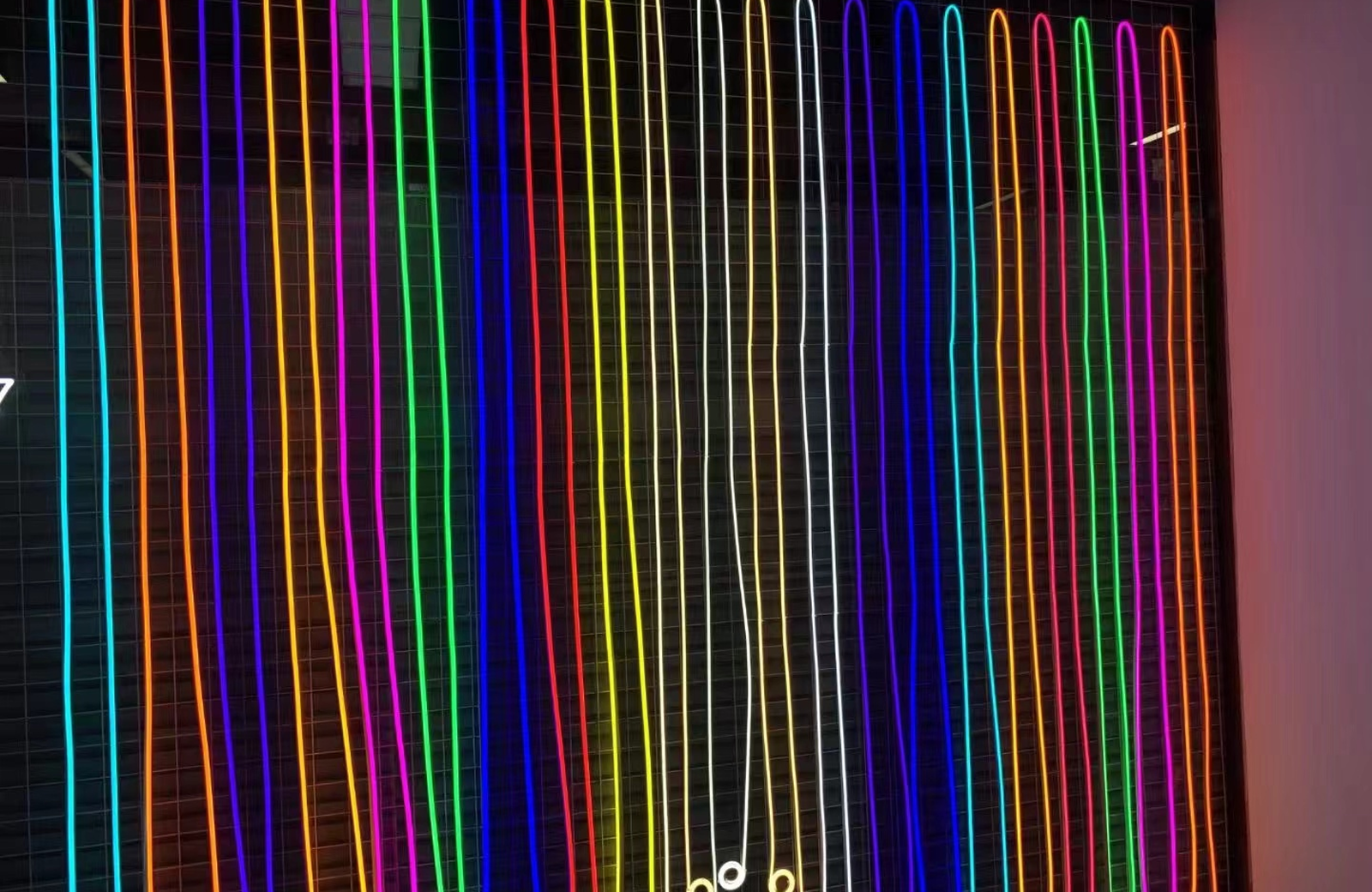 Fita Neon LED RGB
